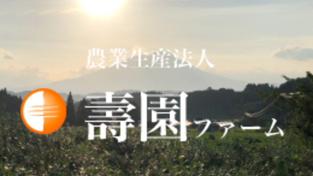 通販部