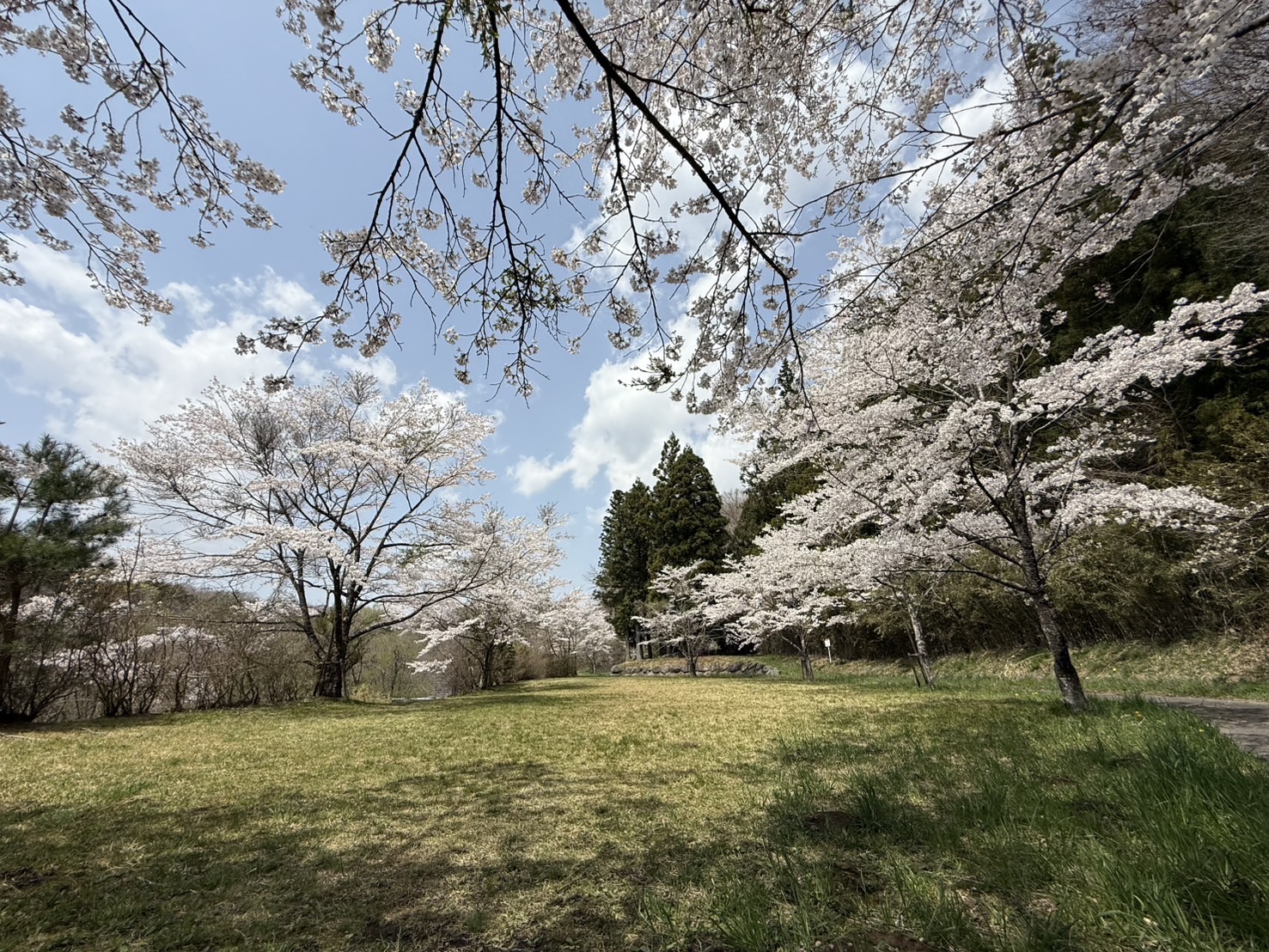 那須キャンプ場 写真13
