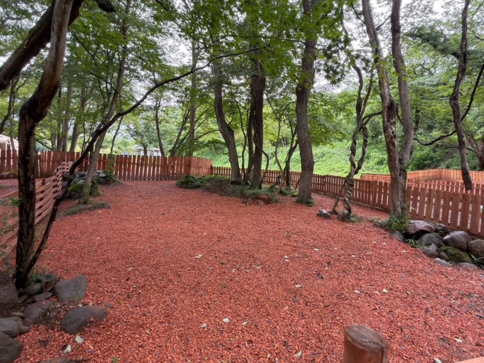 那須キャンプ場 写真4